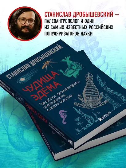 Чудища Эдема. Трилобиты, аномалокарисы, ракоскорпионы и другие монстры - фото 6