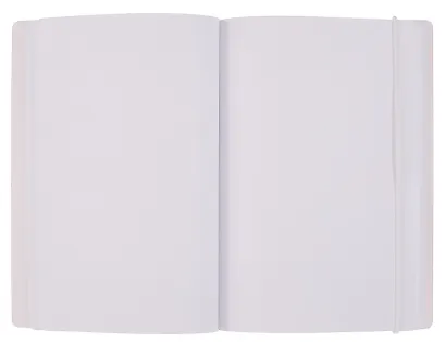 Книга для записей А5 "СПб Питерушечка" на резинке - фото 2