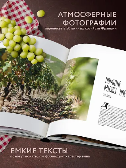 Франция. Лучшие Шато и домены. Престижные винные хозяйства Бордо Бургундии и Шампани - фото 6