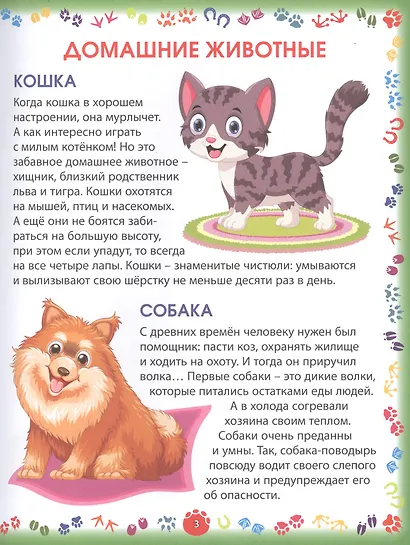 Животные и птицы - фото 2