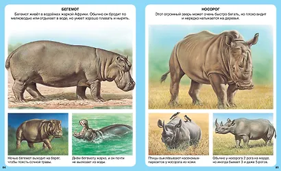 Животные - фото 9