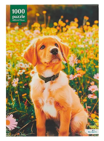 Пазл 1000 элементов "Прогулка с другом" 48х67 см. - фото 3
