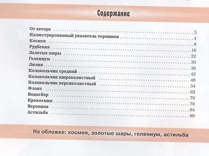 Цветы из бисера Времена года Лето Садовые цветы (Коссова) - фото 2