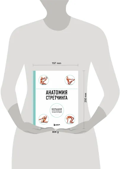 Анатомия стретчинга. Большая иллюстрированная энциклопедия - фото 7