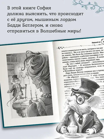 София и мышиный лорд. Возвращение в Волшебные миры - фото 6