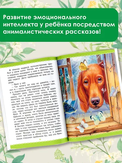 Рассказы - фото 5