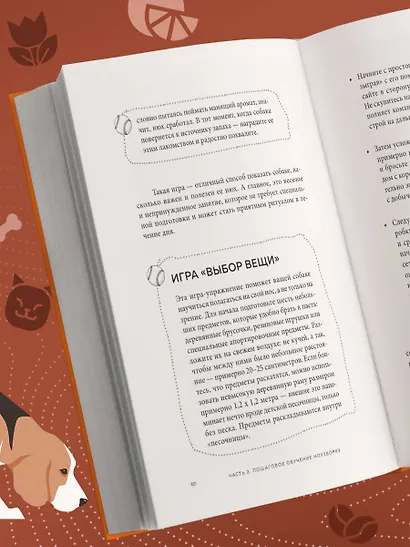 Возьми след! Секреты ноузворка: тренировки для собак - фото 12