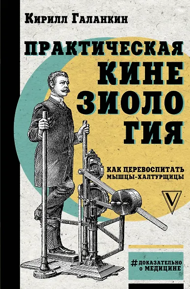 Практическая кинезиология: как перевоспитать мышцы-халтурщицы - фото 1