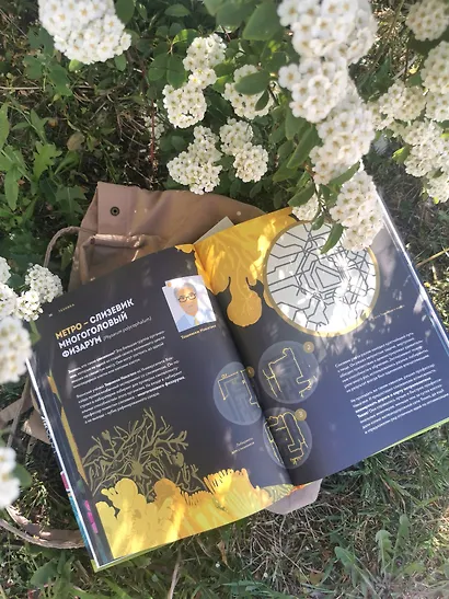 Дикие изобретения. 40 технологий, подаренных нам природой - фото 8