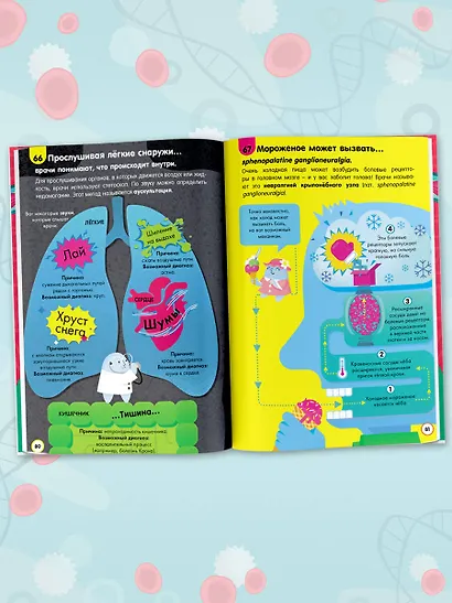 Тело человека - фото 7