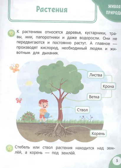 Моя первая книга открытий: для детей от 3-х лет - фото 4