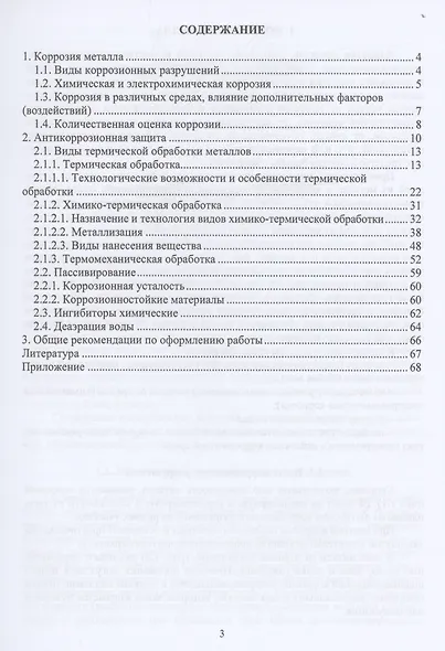 Коррозия и антикоррозионная защита - фото 2