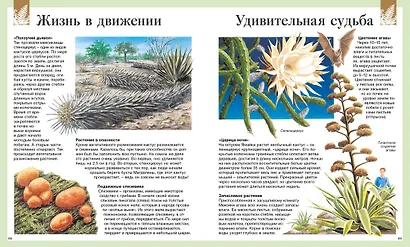 Детская энциклопедия. 250 чудес света - фото 4