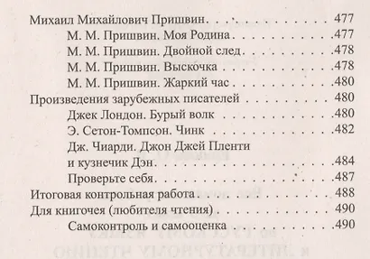 Русский язык. Литературное чтение. 3 класс. Все домашние работы. Начальная школа XXI века - фото 11