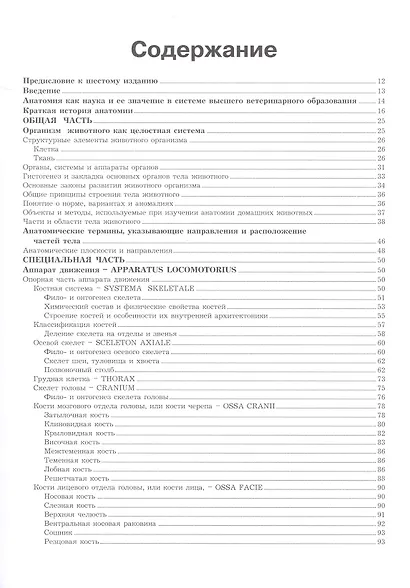 Анатомия домашних животных - фото 2