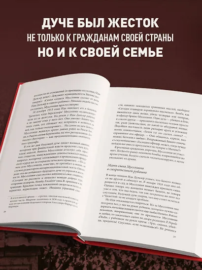 Муссолини. История одного диктатора - фото 6