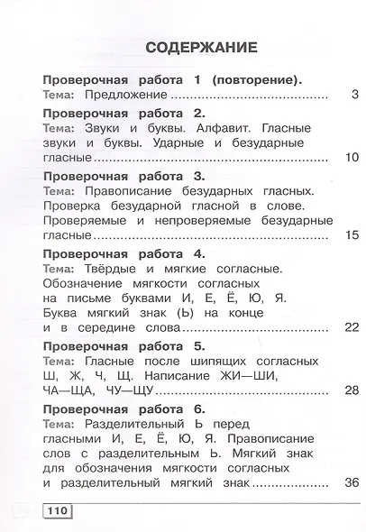 Русский язык. 4 класс. Проверочные работы. Учебное пособие (для обучающихся с интеллектуальными нарушениями) - фото 2