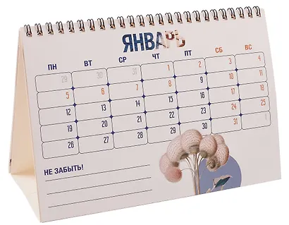 Календарь 2026г 216*147 "Коллаж Vintage" настольный, домик - фото 4