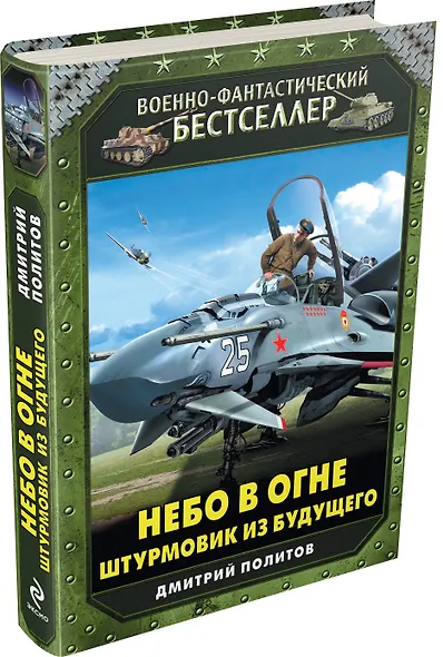Небо в огне. Штурмовик из будущего - фото 3