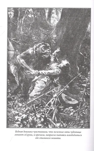 Город Прокаженного короля - фото 4