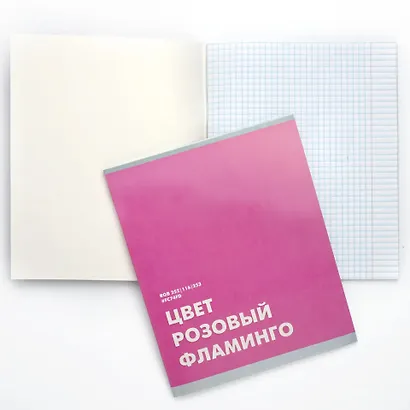 Тетрадь в клетку "Редкие цвета", 48 листов, в ассортименте - фото 5