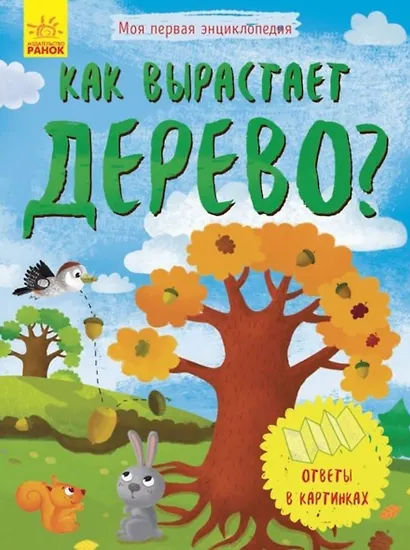 Как вырастает дерево? - фото 1