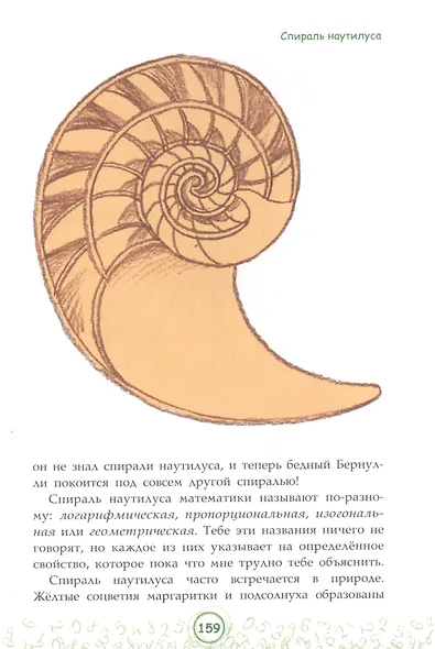Великолепная десятка. Приключения в мире математики - фото 6