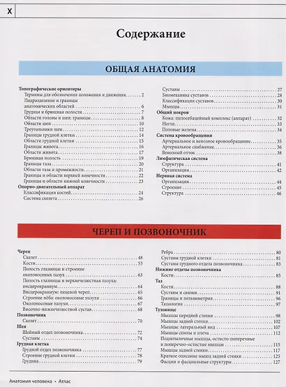 Анатомия человека: атлас - фото 7