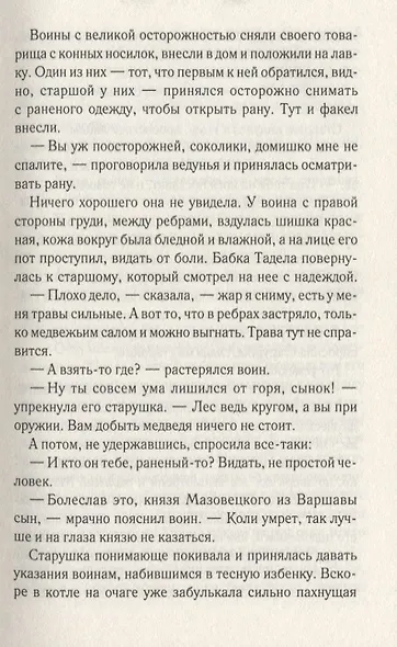 Рыцарский пояс. Тень Северного креста - фото 4