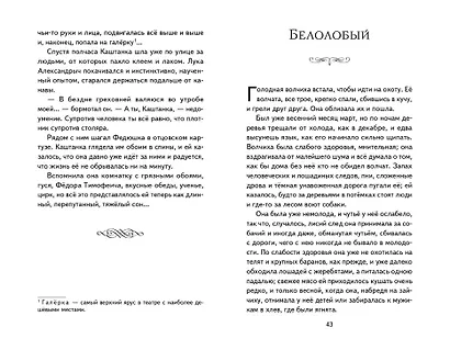 Каштанка. Мальчики и другие рассказы (ил. М. Белоусовой, Д. Кардовского) - фото 13