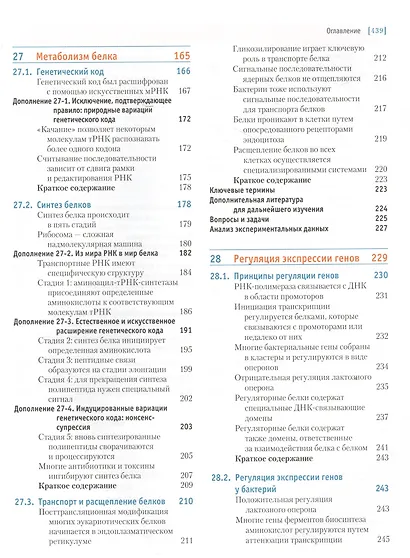 Основы биохимии Ленинджера т.3 - фото 4