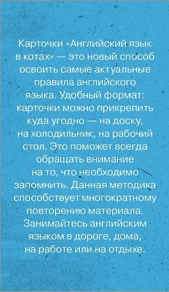 Английский язык в котах. Полезные карточки - фото 2