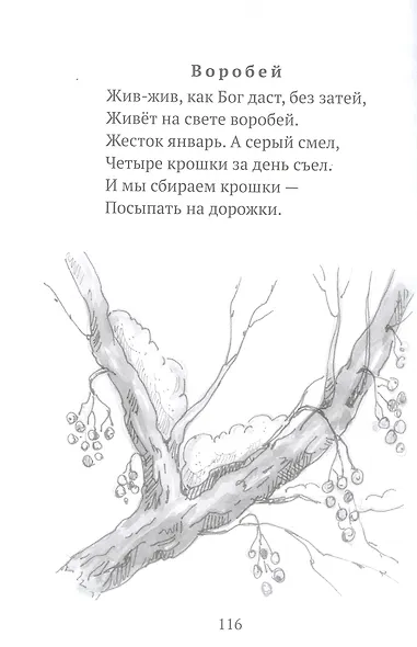 Тимошины чудеса: Зима! - фото 7