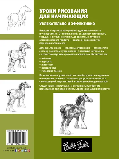 Уроки рисования для начинающих. Увлекательно и эффективно - фото 2