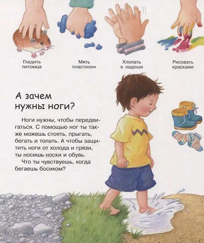 Что? Почему? Зачем? Малышу. Это я, и это ты (с волшебными окошками) - фото 4