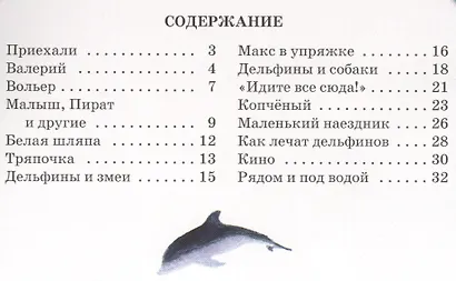 Дельфиний остров - фото 2