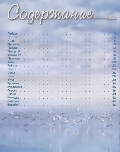 Какие птицы самые красивые? - фото 2