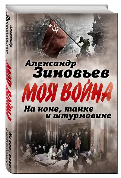 На коне, танке и штурмовике. Записки воина-философа - фото 3