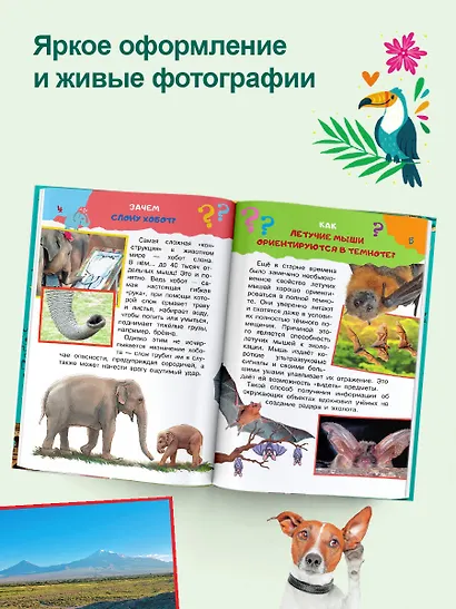 Энциклопедия-викторина - фото 7