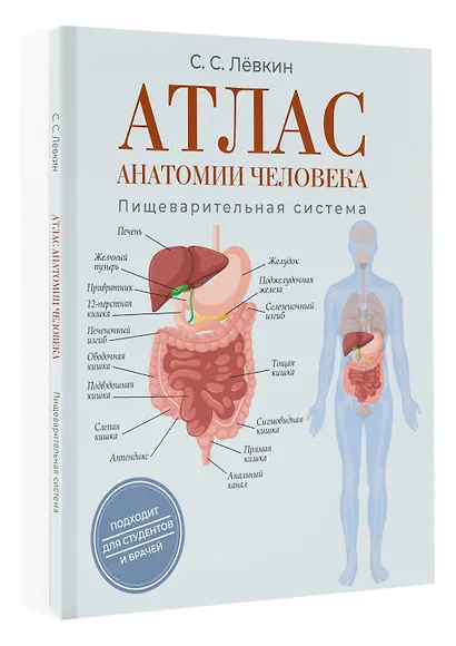 Атлас анатомии человека. Пищеварительная система - фото 3