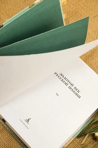 Золотой век русской поэзии - фото 11