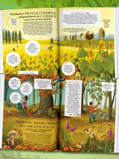 Секреты природы - фото 5