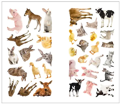 Фотонаклейки. В деревне - фото 4