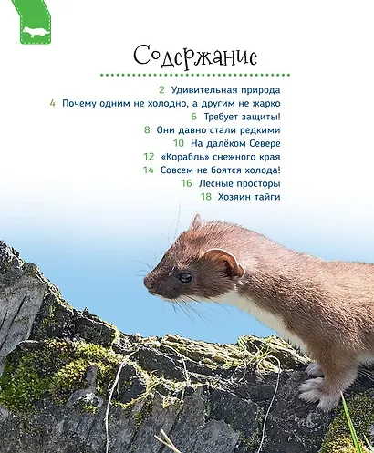 Животные России - фото 2