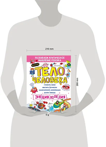 Тело человека - фото 6