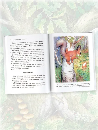 Мышонок Пик. Рассказы о животных - фото 5