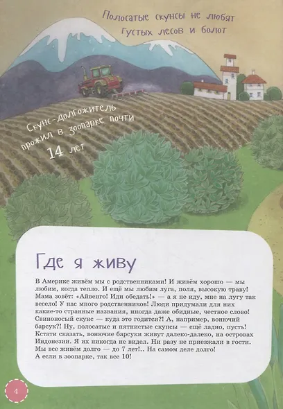 Я скунс - фото 5