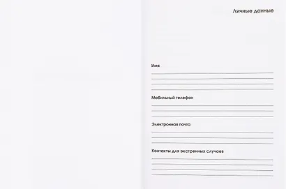 Ежедневник недат. А6+ 112л "Пушкин (Эксклюзив)" 7БЦ, мат.лам, тисн.фольгой, офсет - фото 3