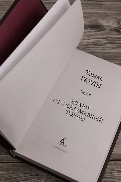 Вдали от обезумевшей толпы - фото 9