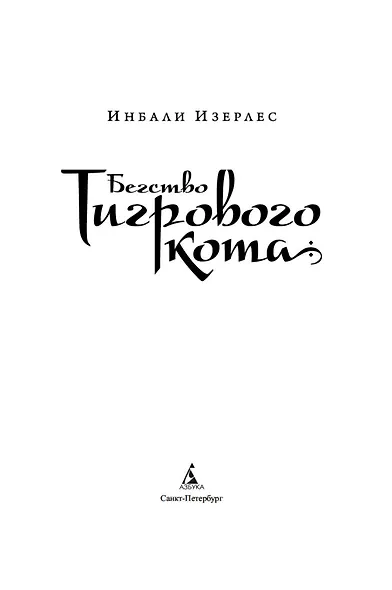 Бегство Тигрового кота. Книга 2 - фото 3